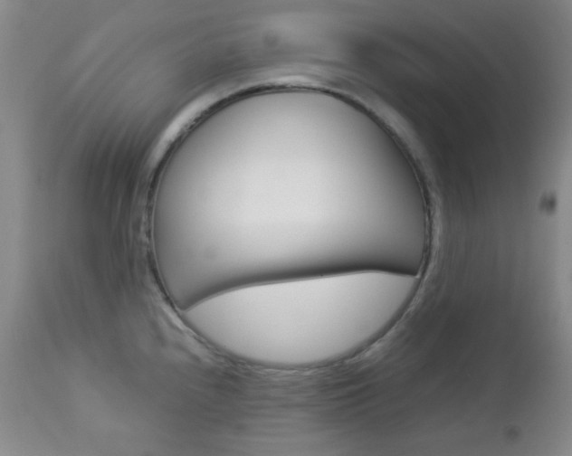 X0000112771240200908201342
