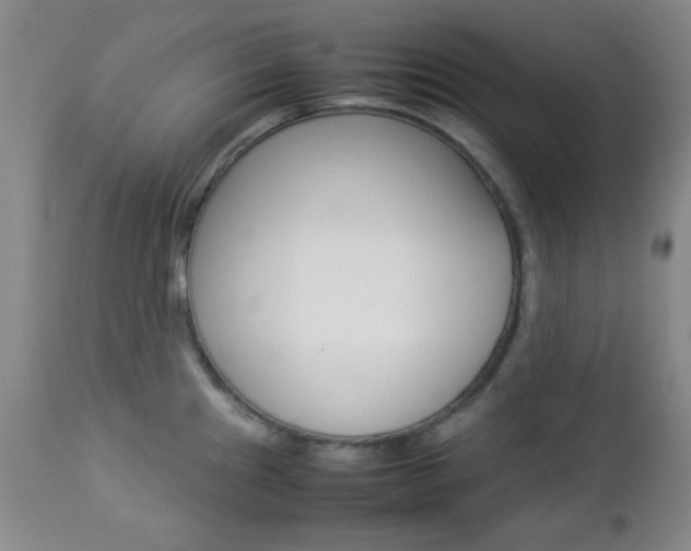 X0000112771241200908201342