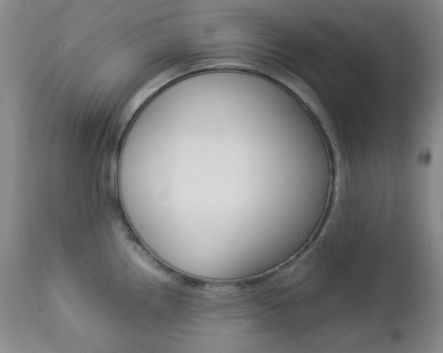 X0000112771242200908201342