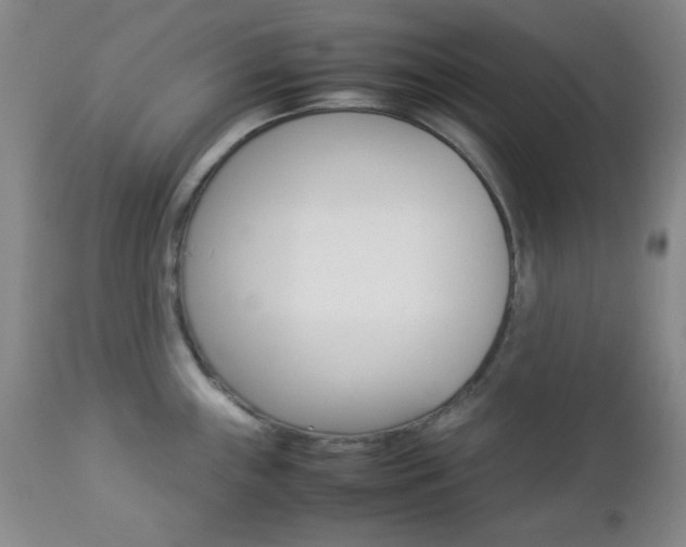 X0000112771243200908201342