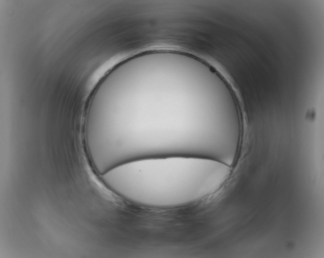 X0000112771245200908201343