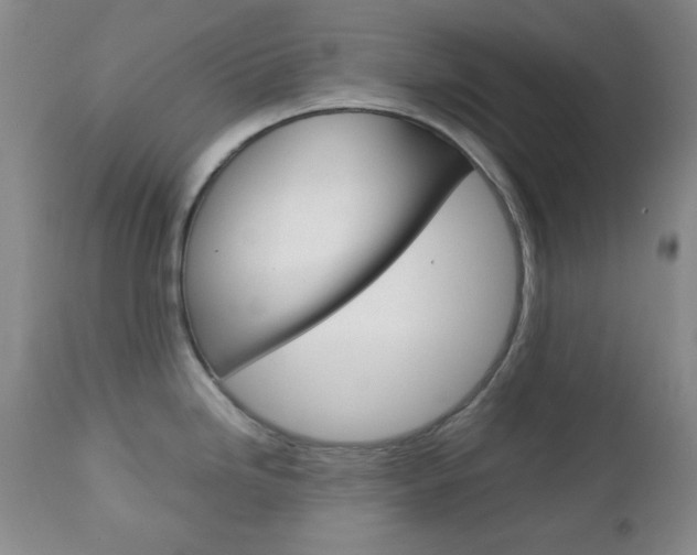 X0000112771246200908201343