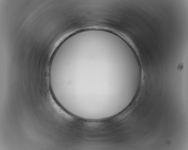 X0000112771247200908201343