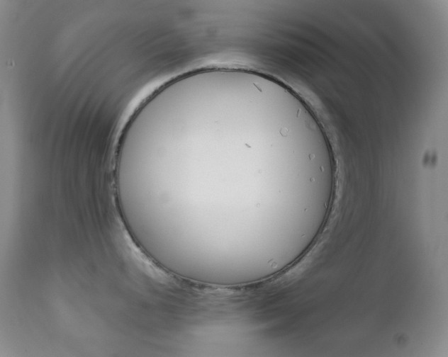 X0000112771248200908201343