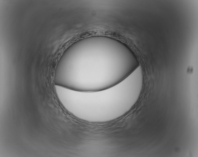 X0000112771253200908201342