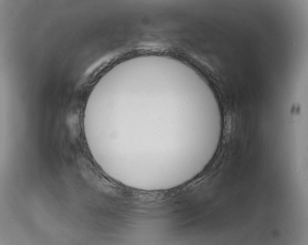 X0000112771254200908201342