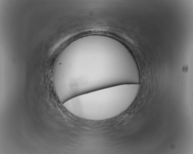 X0000112771255200908201342