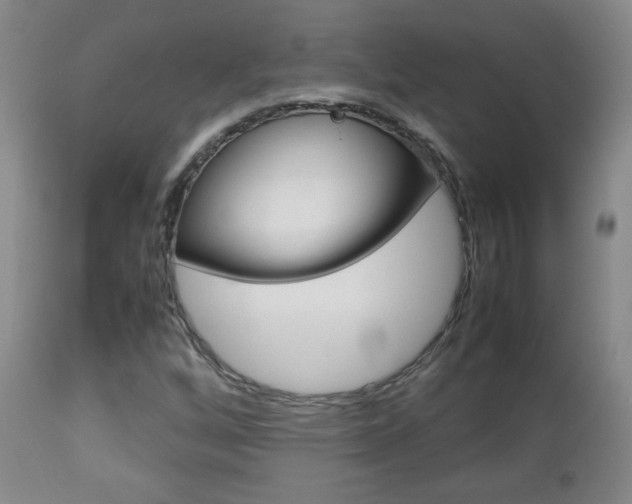 X0000112771256200908201342