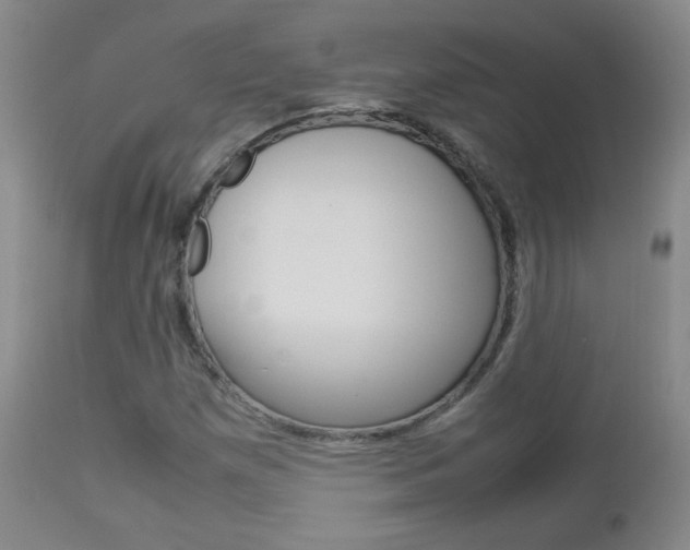 X0000112771257200908201342