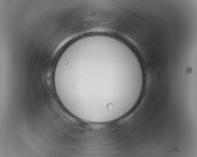 X0000112771258200908201342