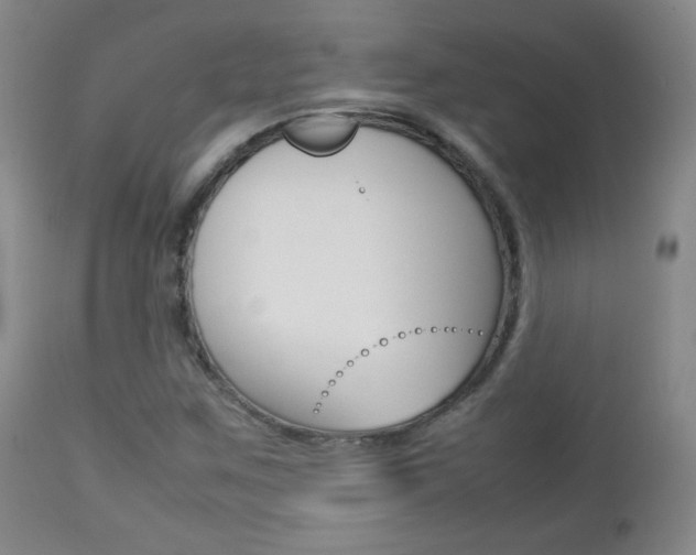 X0000112771259200908201342