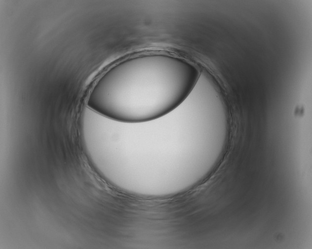 X0000112771260200908201342