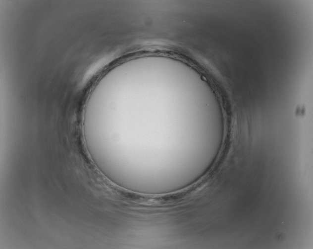 X0000112771261200908201342