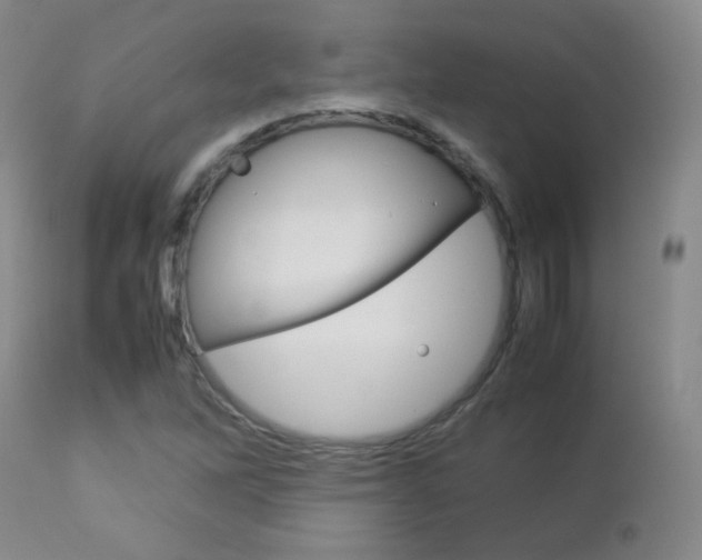 X0000112771262200908201342
