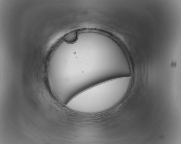 X0000112771263200908201342