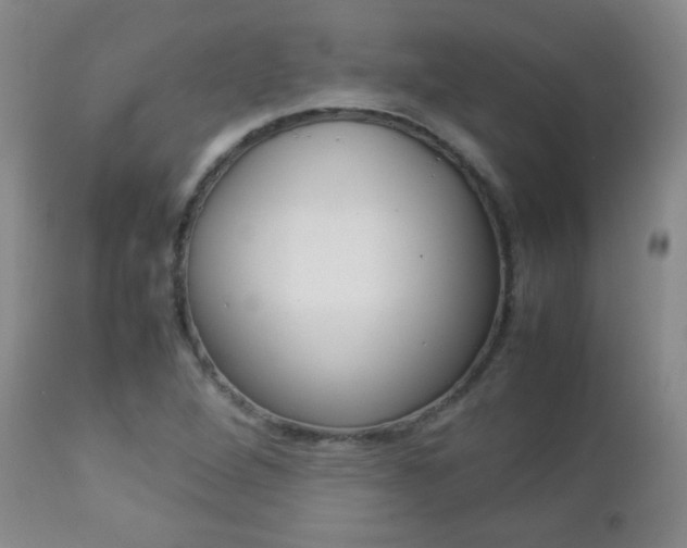 X0000112771264200908201342