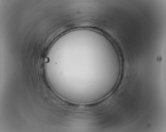 X0000112771265200908201341