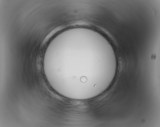 X0000112771266200908201341