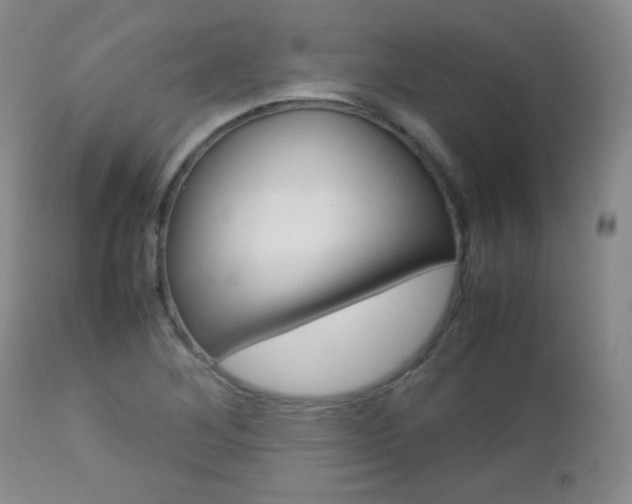 X0000112771268200908201341