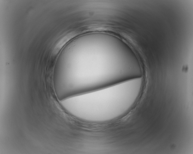 X0000112771273200908201341