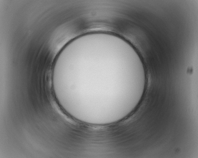 X0000112771274200908201341