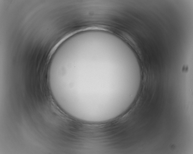 X0000112771276200908201341