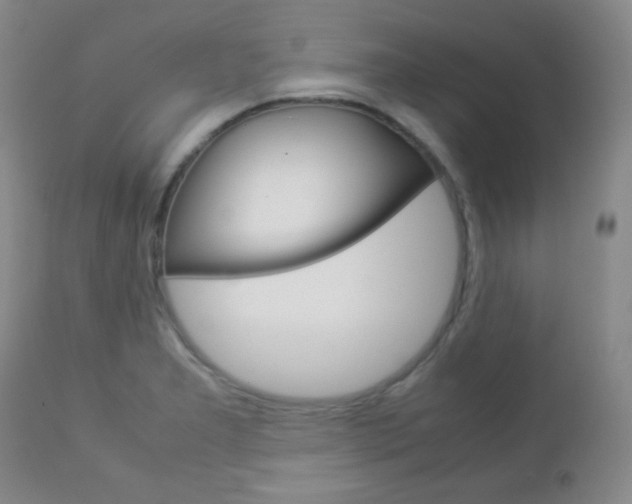 X0000112771277200908201341
