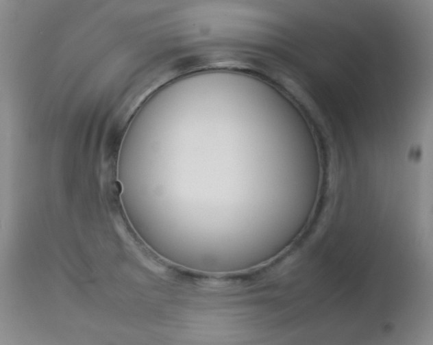 X0000112771281200908201341