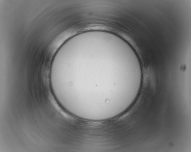 X0000112771282200908201341