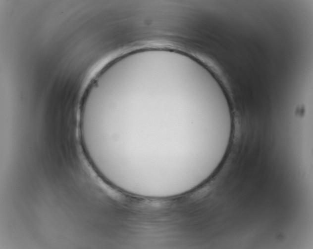 X0000112771286200908201341