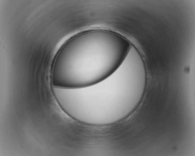 X0000112771288200908201341