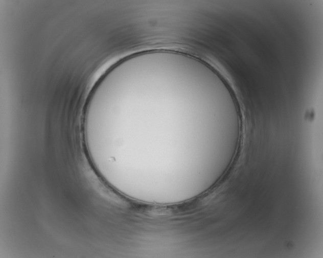 X0000112771291200908201341