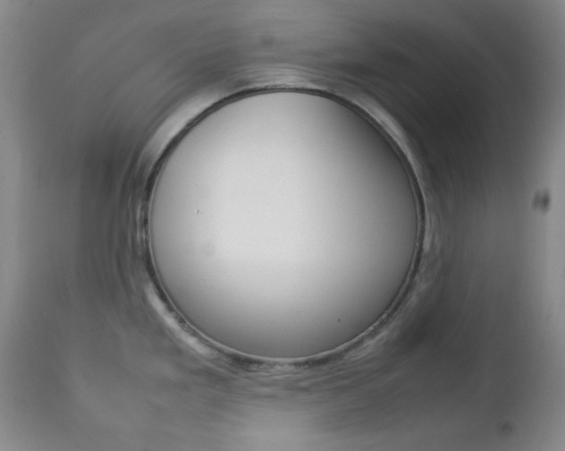 X0000112771293200908201341