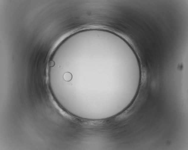 X0000112771294200908201341