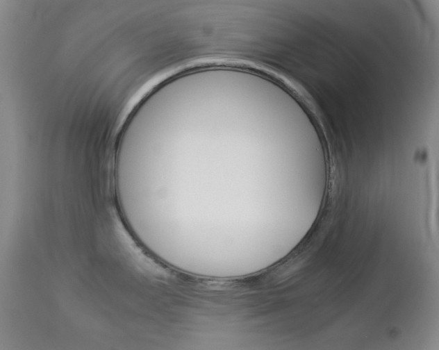 X0000112771295200908201341