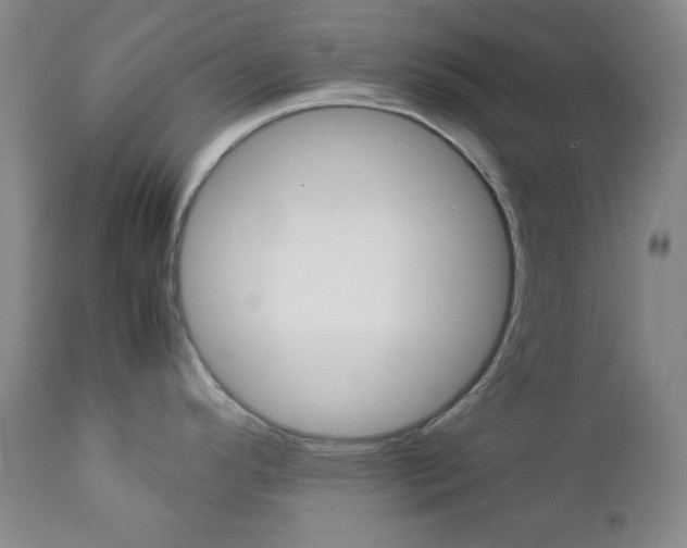 X0000112771296200908201341