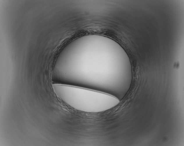 X0000112771297200908201340