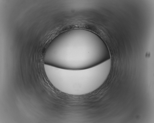 X0000112771298200908201340