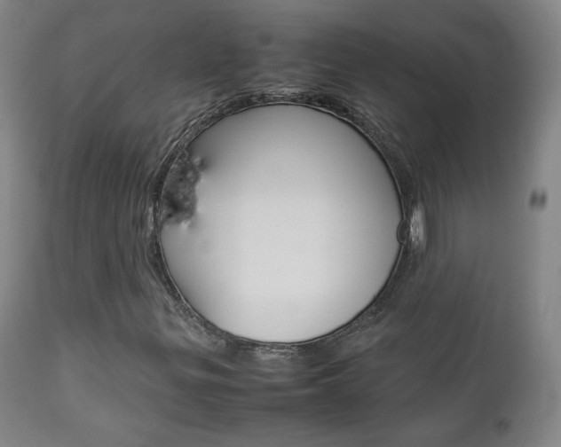 X0000112771299200908201340