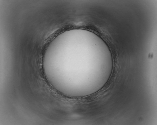 X0000112771301200908201340