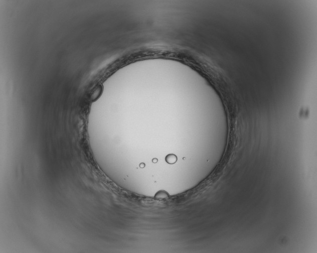 X0000112771302200908201340