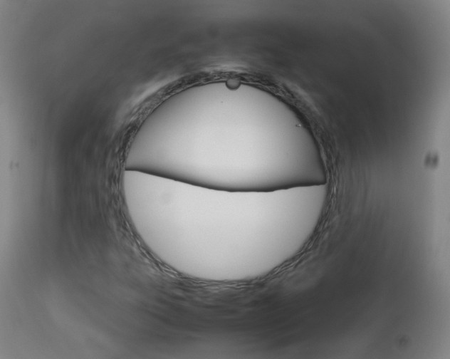 X0000112771303200908201340
