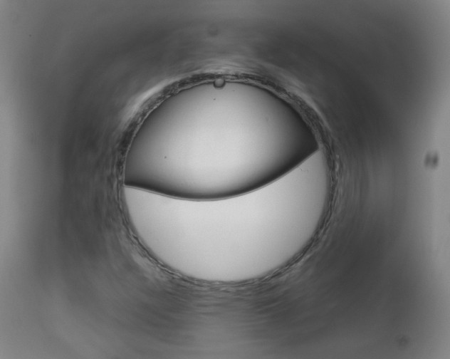 X0000112771304200908201340