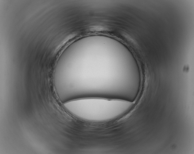 X0000112771305200908201341