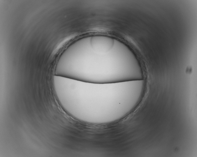 X0000112771307200908201341