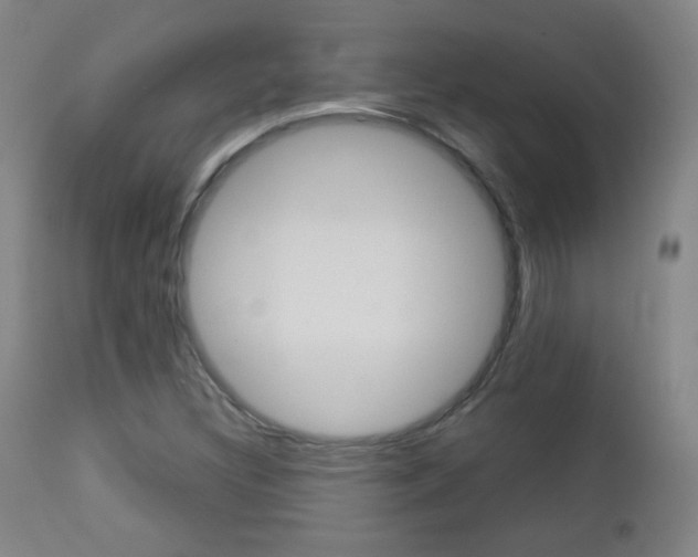 X0000112771308200908201341