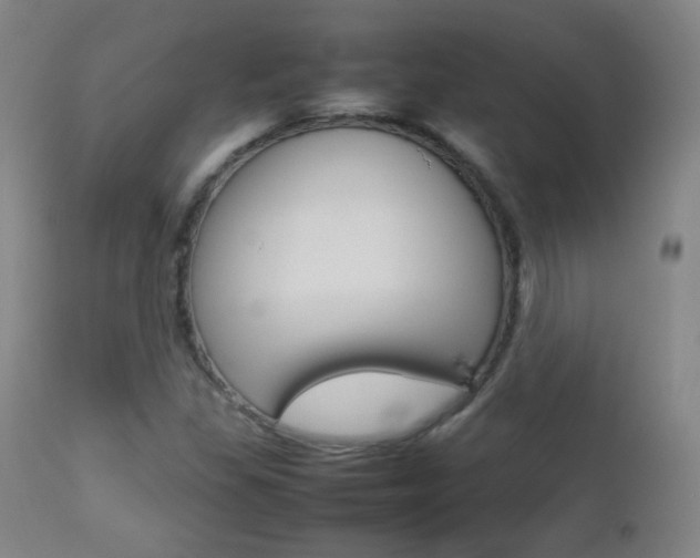 X0000112771309200908201341