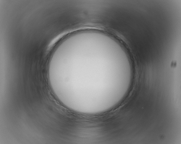 X0000112771310200908201341