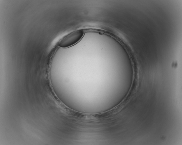 X0000112771312200908201341