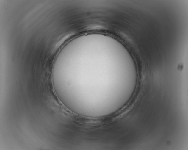 X0000112771313200908201341